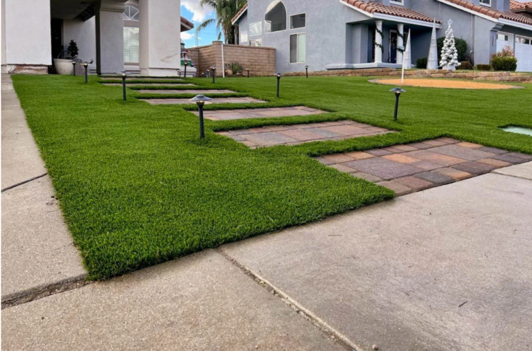 عشب صناعي حديث (3)