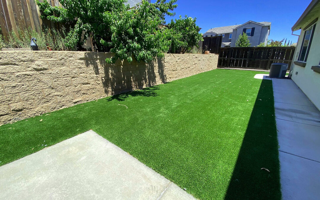 عشب صناعي حديث (5)